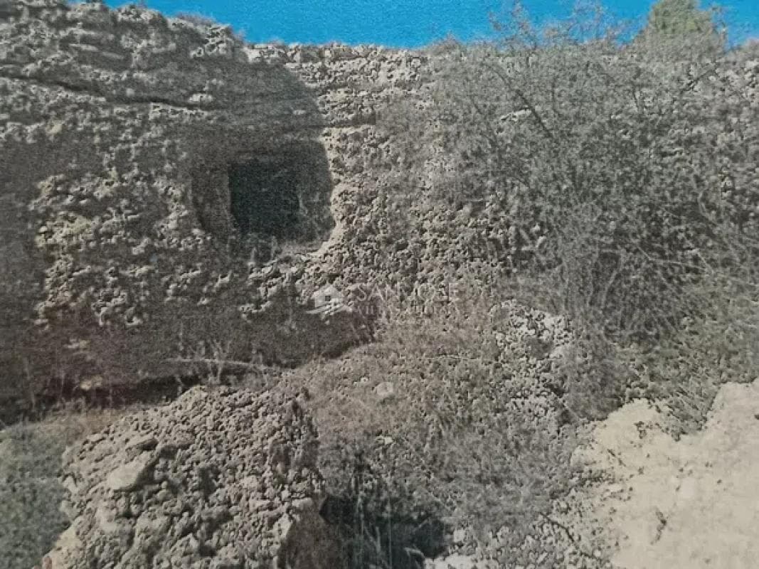 Terreno en venta en Monovar, Alicante photo 4