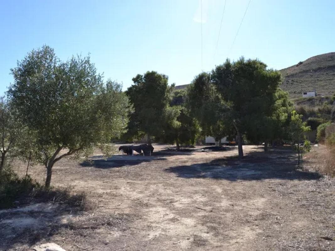 Property photo 4