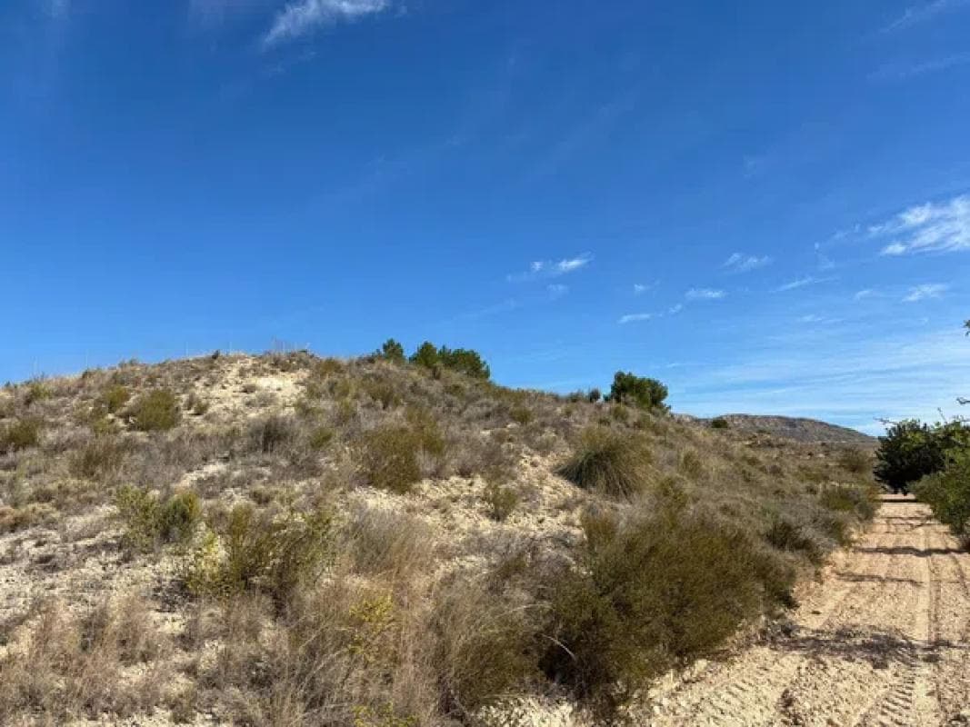 Terreno en venta en Moralet, Alicante photo 4