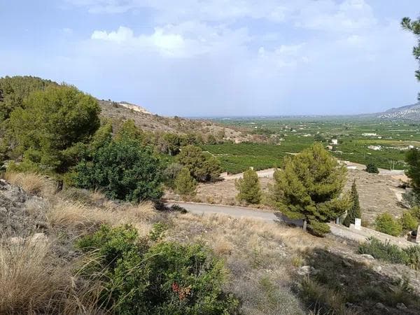 Terreno en Monte Mostalla, 20 photo 1