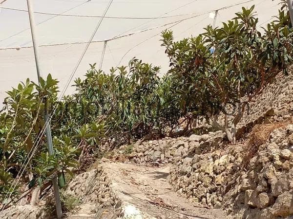 Terreno en Xirles photo 2