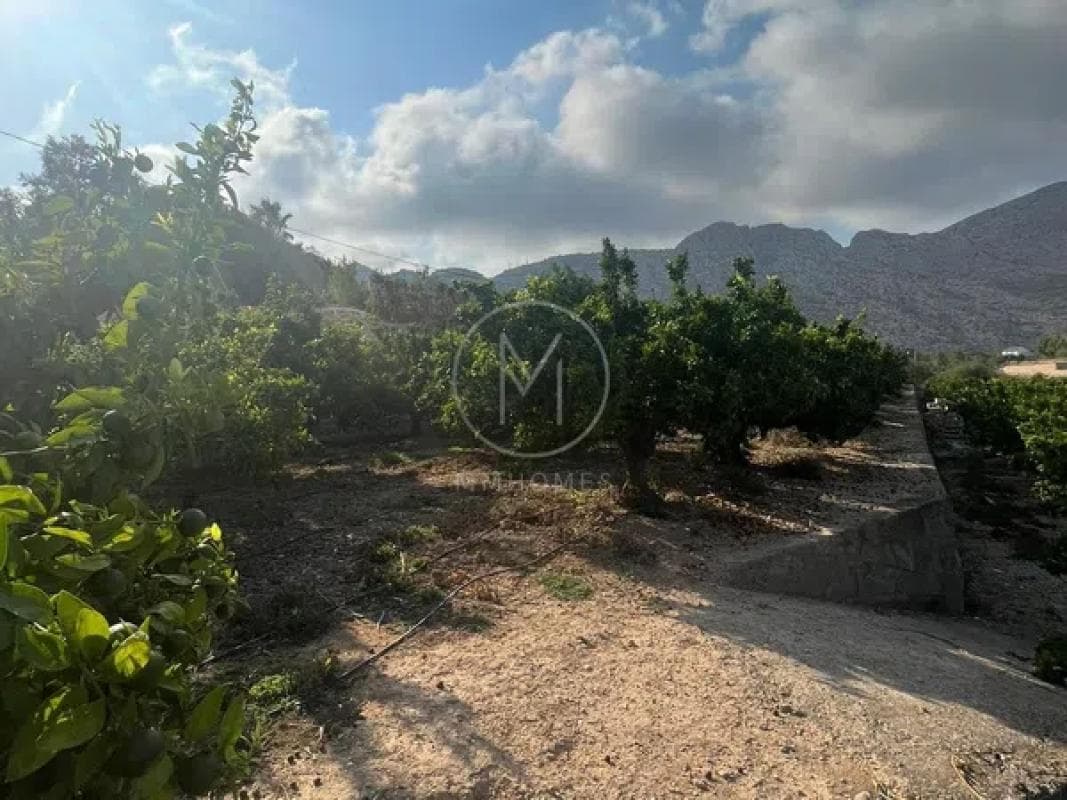 Terreno en venta en Sanet y Negrals, Alicante photo 2