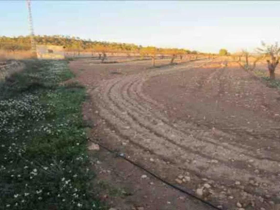 Terreno en venta en Monovar, Alicante photo 3
