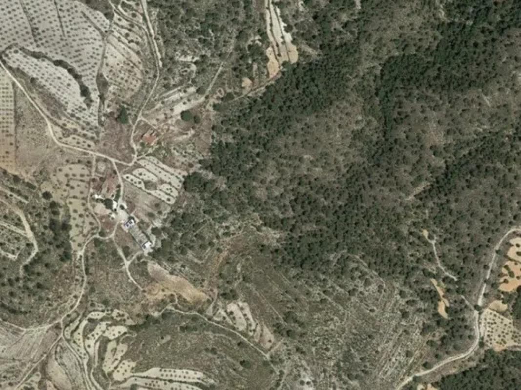 Terreno en venta en Monovar, Alicante photo 3