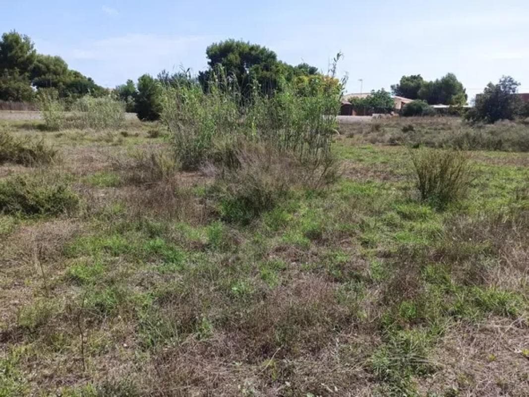 Terreno en venta en Mutxamel, Alicante photo 2