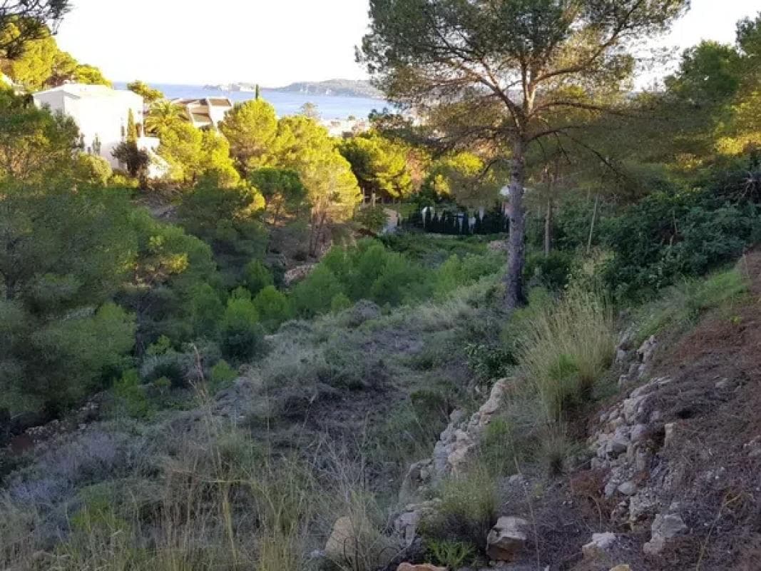 Terreno en venta en Jávea/Xàbia, Alicante photo 2