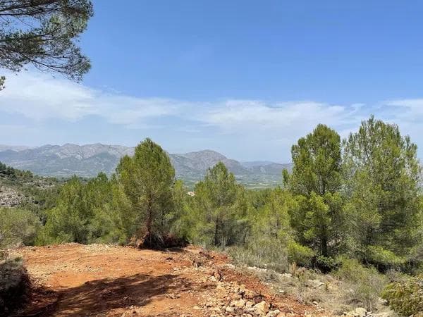 Terreno en Benidoleig photo 4