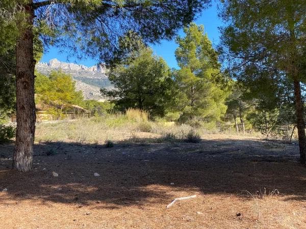 Terreno en calle Figuera, 9 photo 1