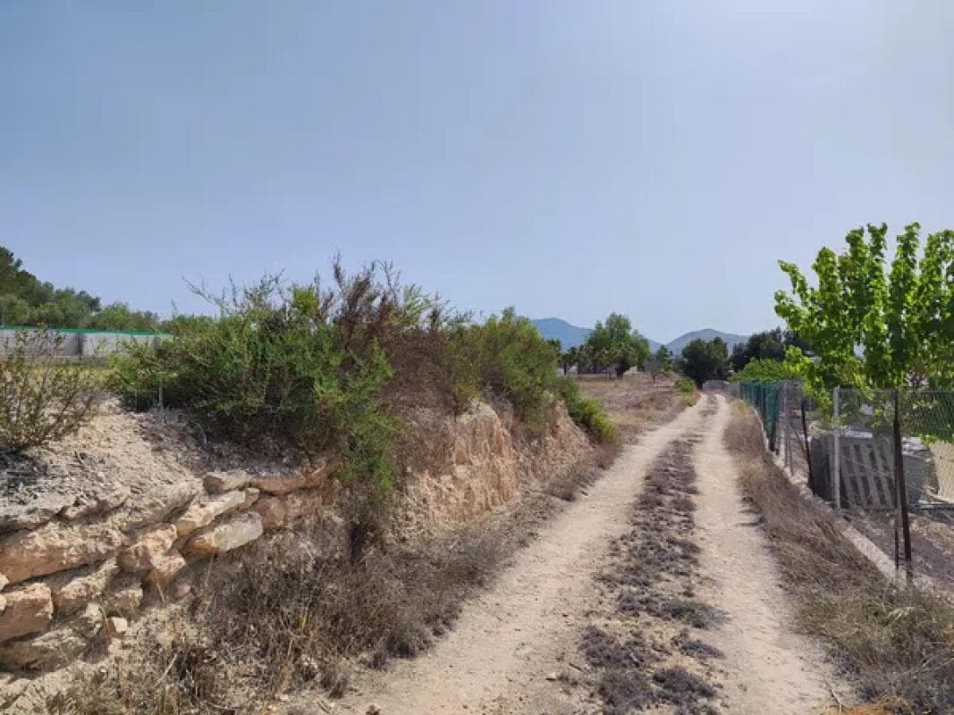 Terreno en venta en Aspe, Alicante photo 2