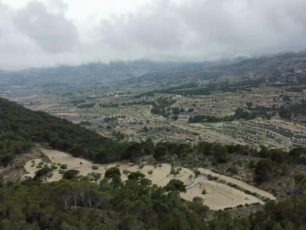 Terreno en venta en Jijona / Xixona, Alicante photo 4