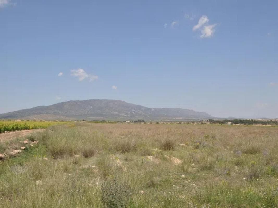 Terreno en venta en Pinoso, Alicante photo 2