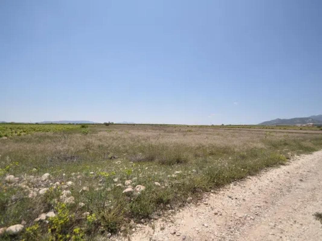 Terreno en venta en Pinoso, Alicante photo 3