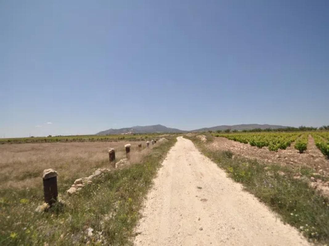 Terreno en venta en Pinoso, Alicante photo 5