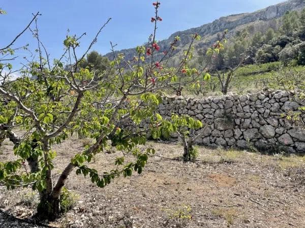 Terreno en Vall de Gallinera photo 1