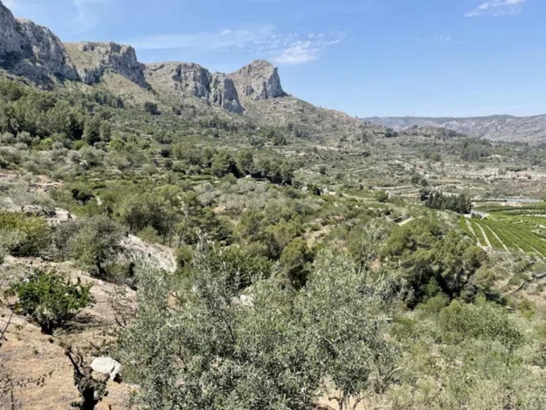 Terreno en venta en Vall de Gallinera, Alicante photo 2