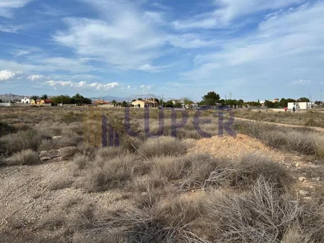 Terreno en venta en San Vicente del Raspeig, Alicante photo 5