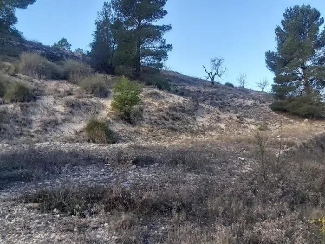 Terreno en venta en Monovar, Alicante photo 4