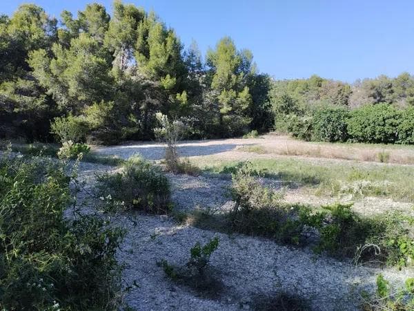Terreno en Partida Sant Antoni photo 1