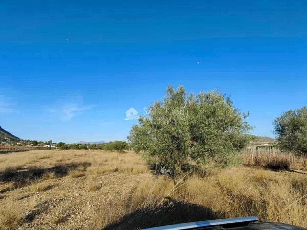 Terreno en venta en Hondón de las Nieves, Alicante photo 4