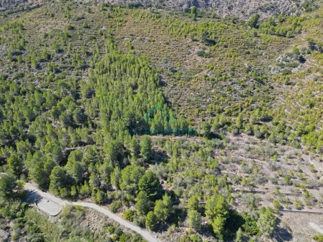 Terreno en venta en Pedreguer, Alicante photo 5