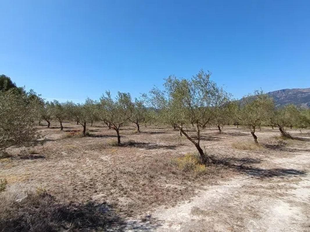 Terreno en venta en Gayanes, Alicante photo 3
