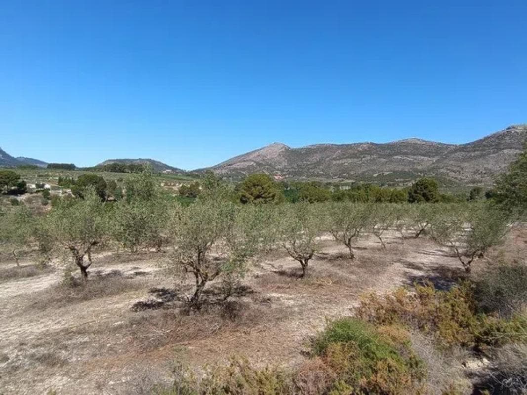 Terreno en venta en Gayanes, Alicante photo 4