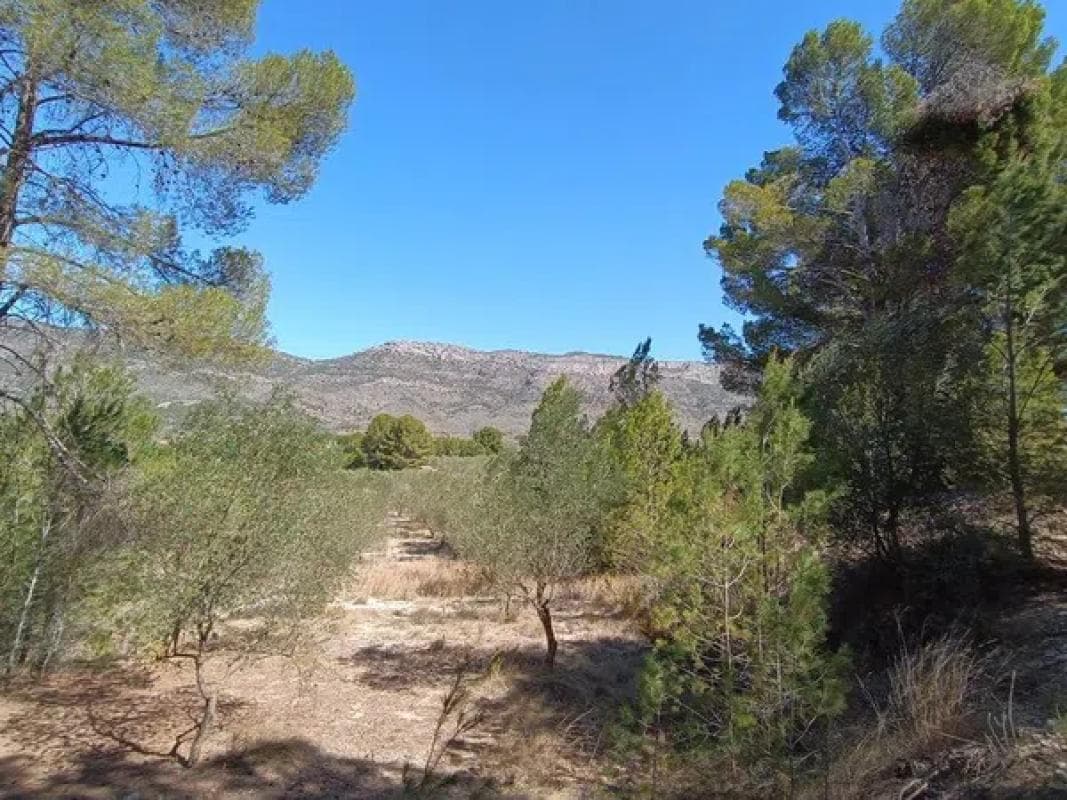 Terreno en venta en Gayanes, Alicante photo 5