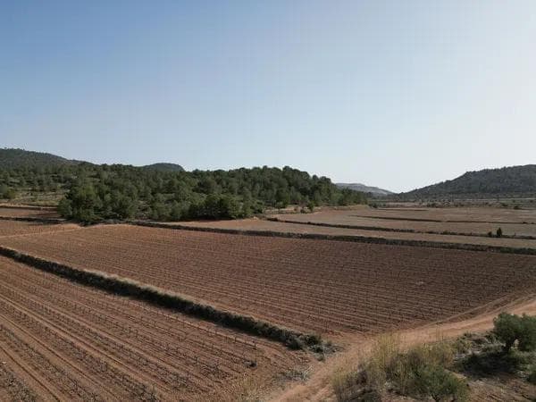 Terreno en carretera Road Road Encebras s/n photo 1