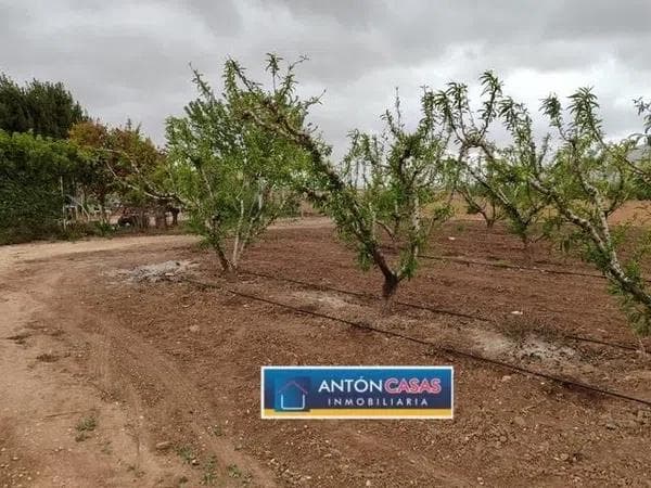 Terreno en Pinoso photo 1