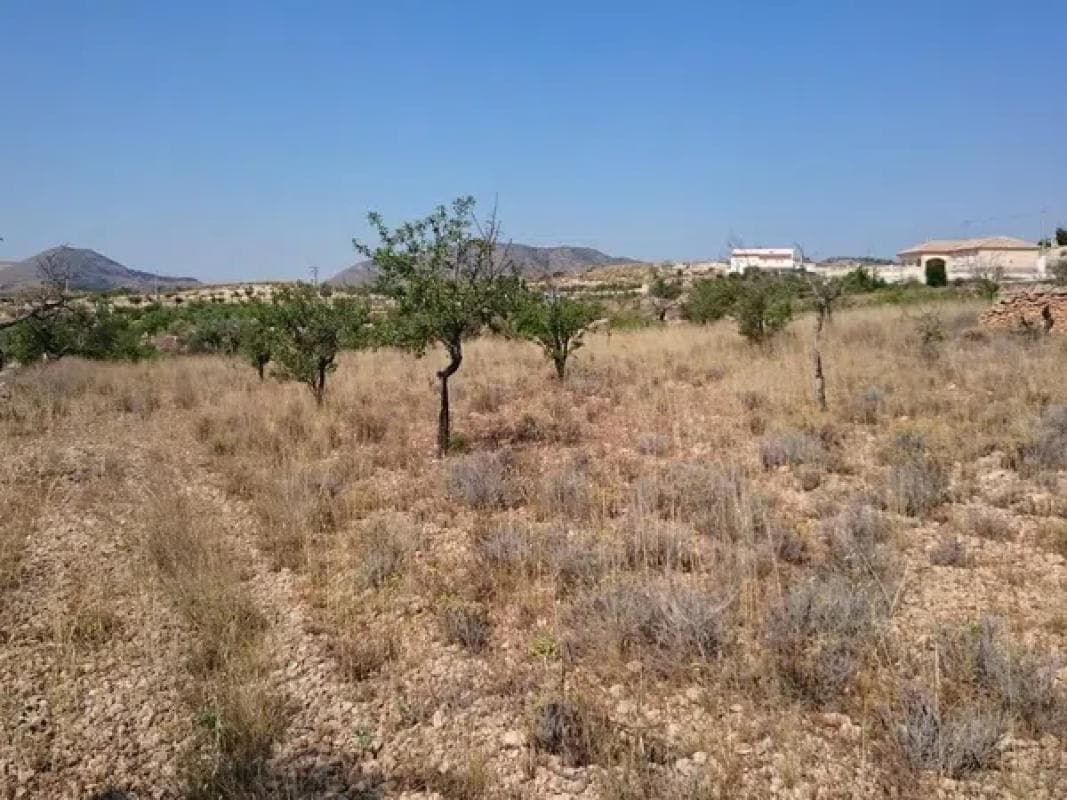 Terreno en venta en Hondón de las Nieves, Alicante photo 2