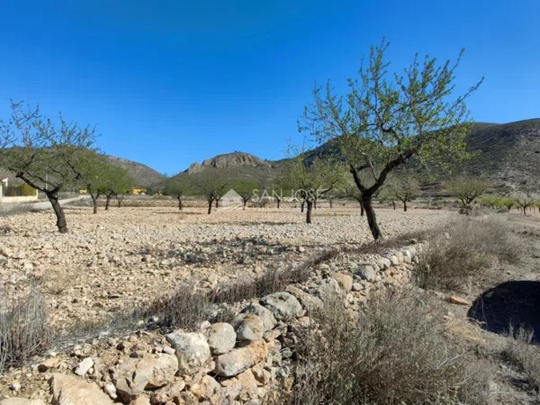 Terreno en venta en Orihuela, Alicante photo 5