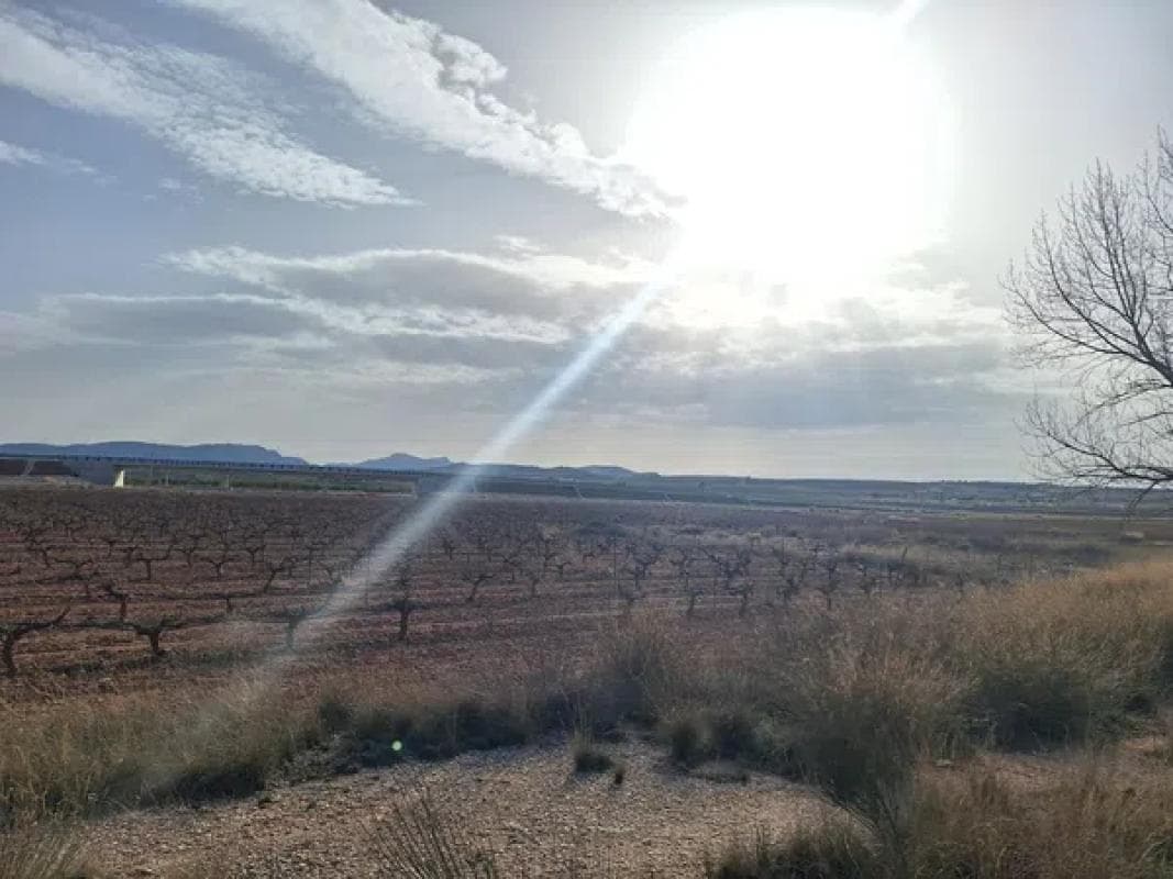 Terreno en venta en Pinoso, Alicante photo 3