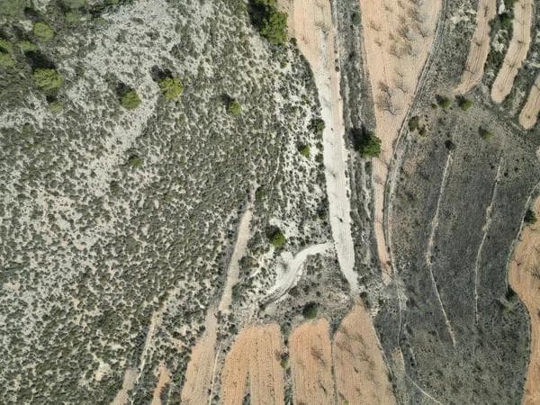 Terreno en Encebras s/n photo 3