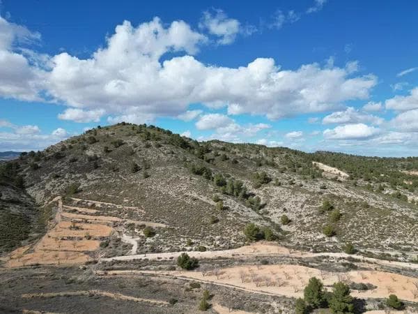 Terreno en Encebras s/n photo 4