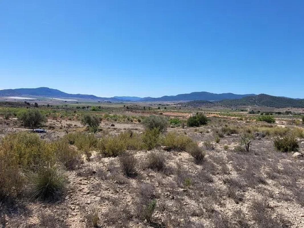 Terreno en venta en Monovar, Alicante photo 2