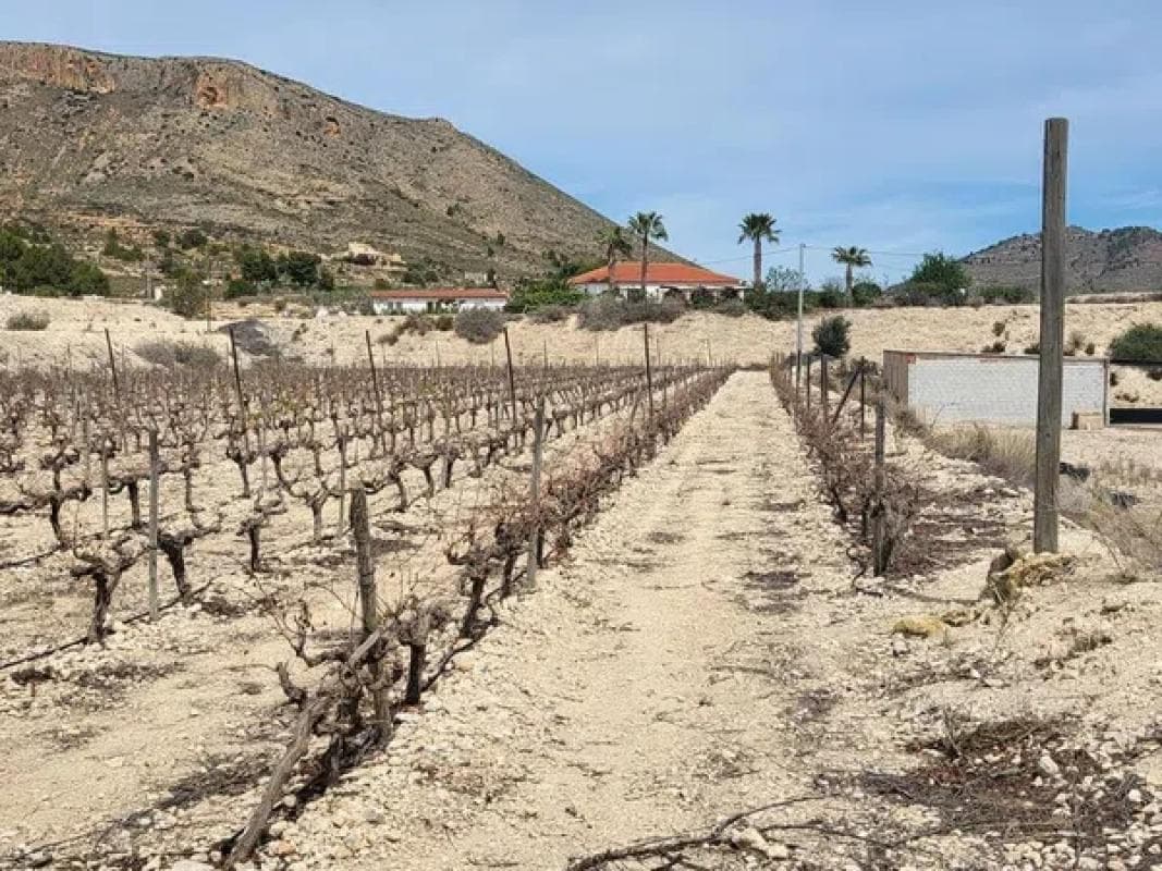 Terreno en venta en La Romana, Alicante photo 5