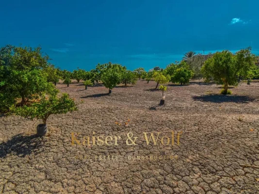 Terreno en venta en Callosa de Segura, Alicante photo 2