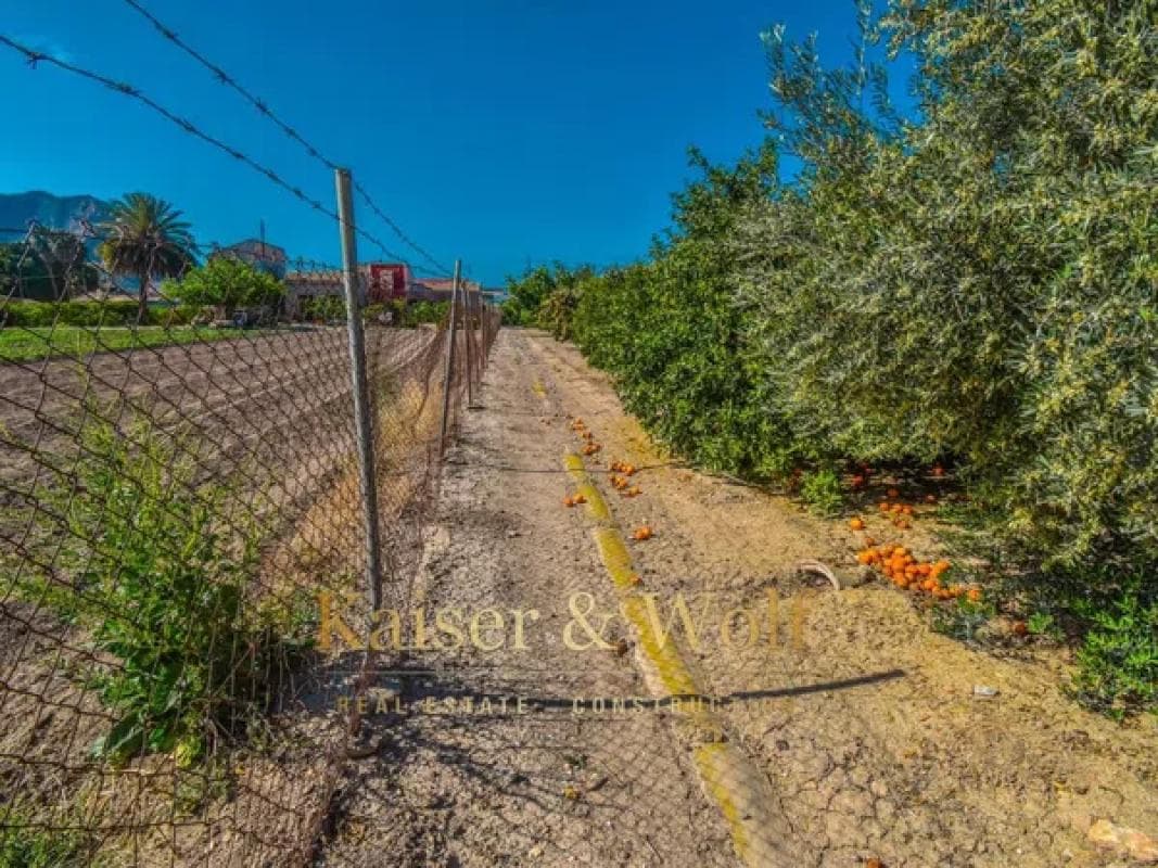 Terreno en venta en Callosa de Segura, Alicante photo 4