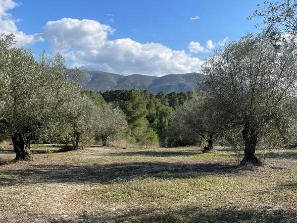 Terreno en Cv-710, 51 photo 2
