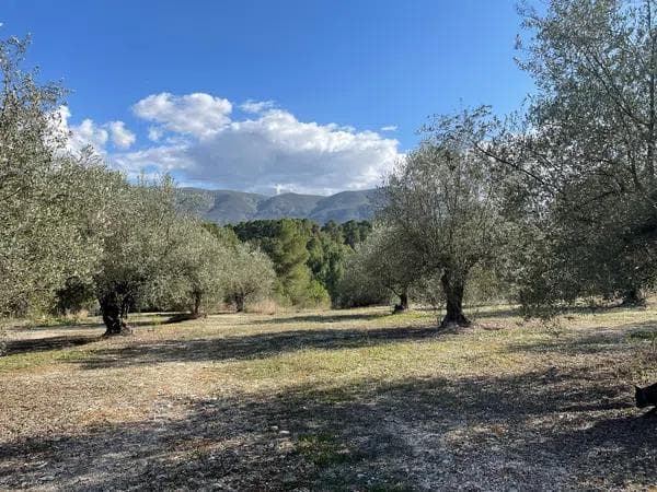 Terreno en Cv-710, 51 photo 3