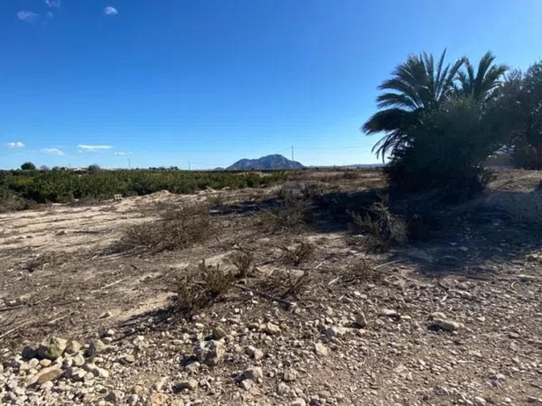 Terreno en venta en Orihuela, Alicante photo 4