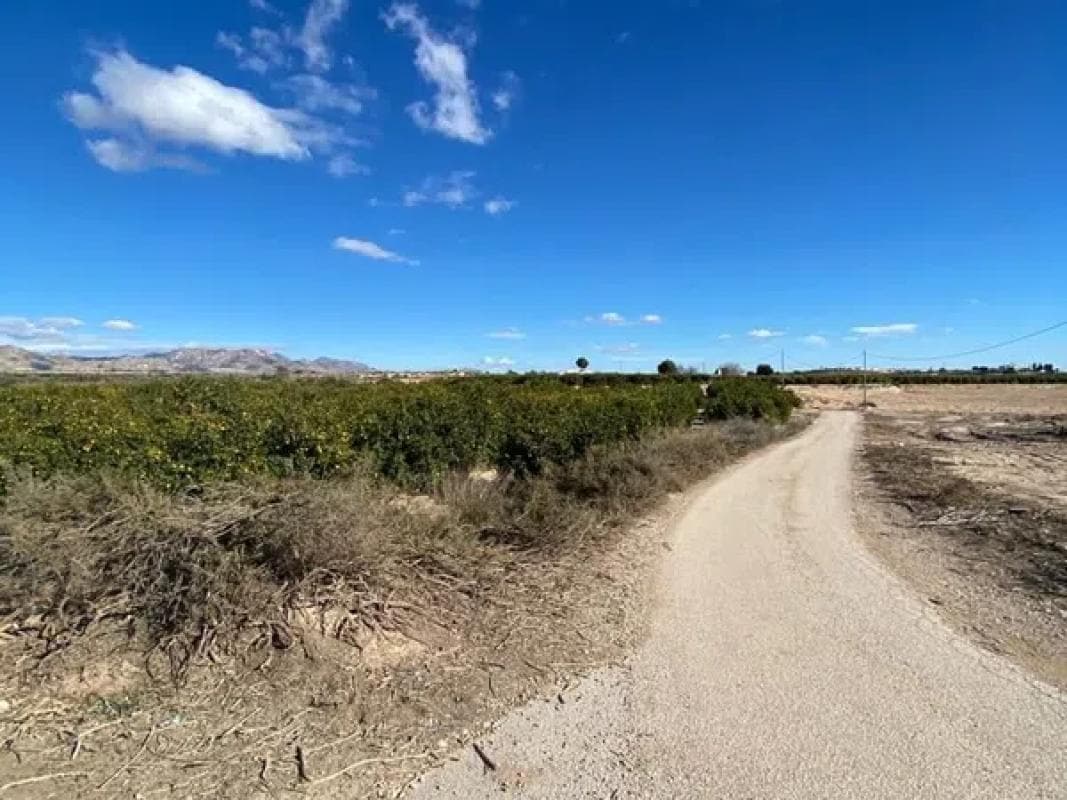 Terreno en venta en Orihuela, Alicante photo 5