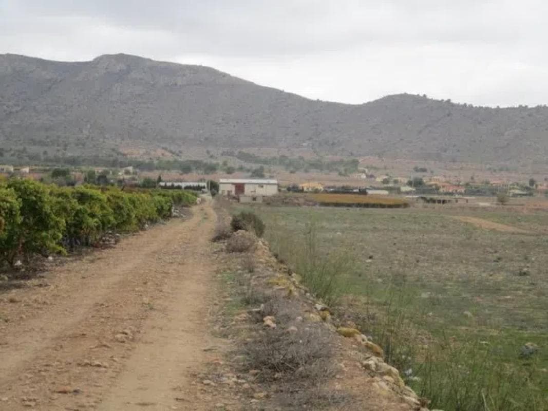 Terreno en venta en Hondón de las Nieves, Alicante photo 3