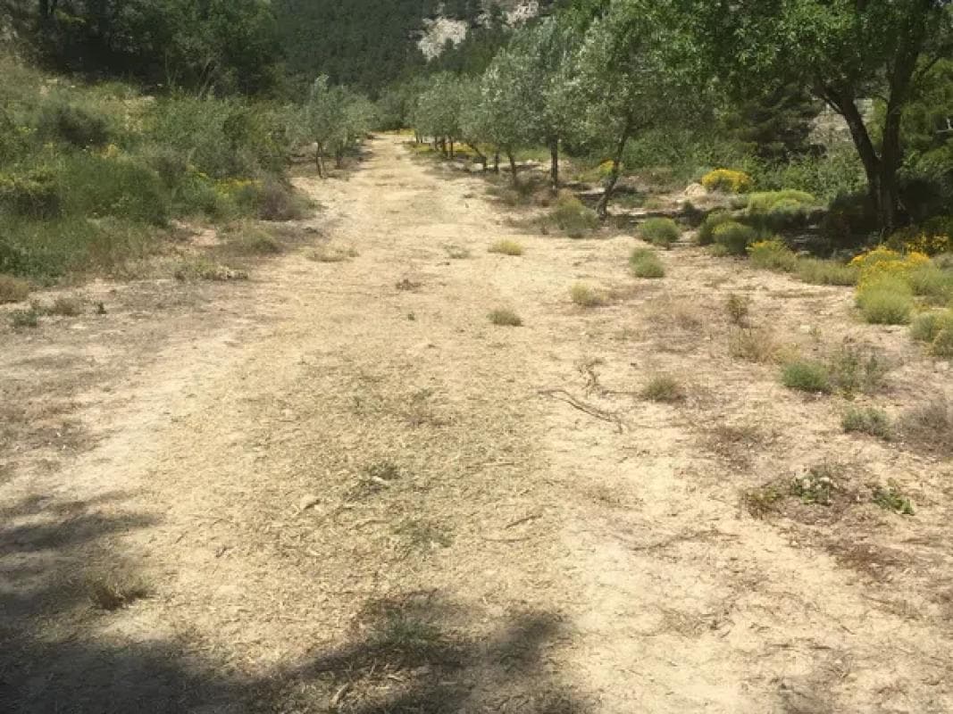 Terreno en venta en Benifallim, Alicante photo 2