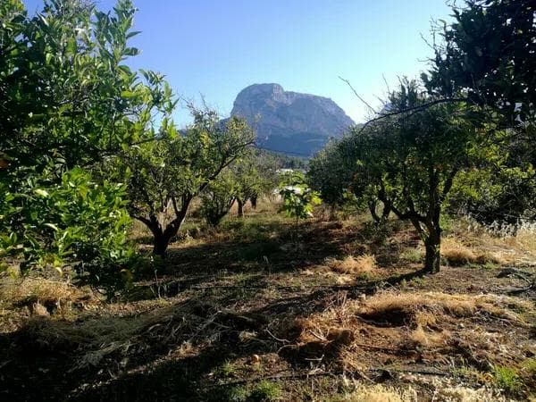 Terreno en Partida Cotelles, 17 photo 1