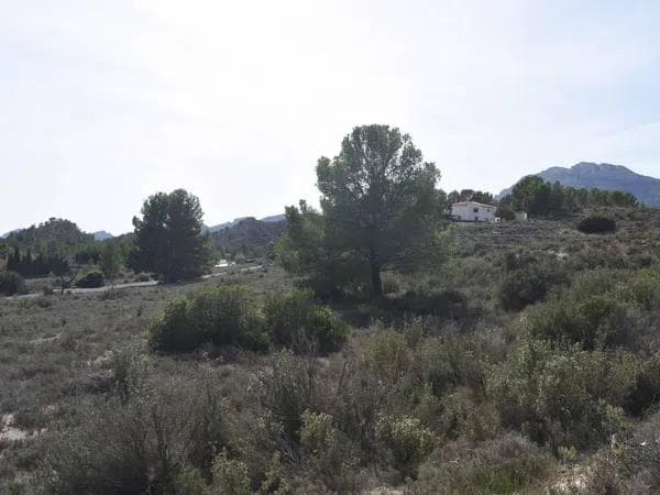 Terreno en calle almoraig s/n thumbnail 2