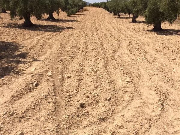 Terreno en Carr.biar a bañeres photo 1