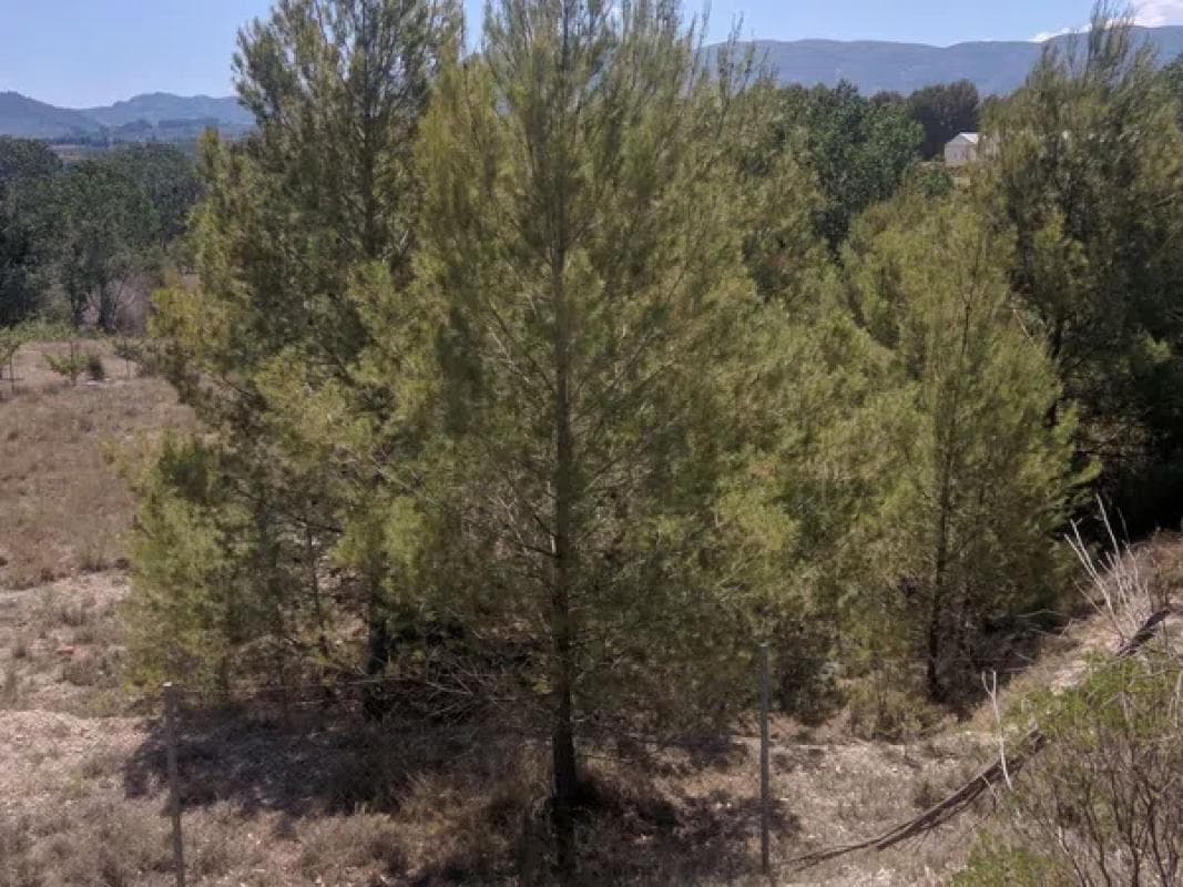 Terreno en venta en Alcocer de Planes, Alicante photo 4