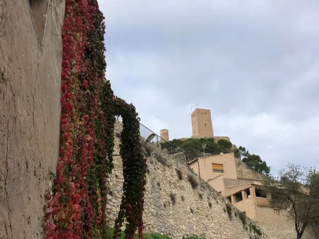Terreno en venta en Biar, Alicante photo 3
