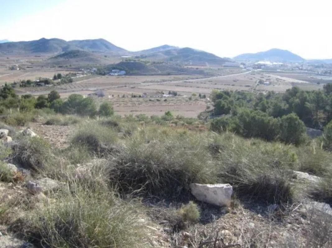 Terreno en venta en Hondón de las Nieves, Alicante photo 5